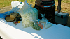 camp28 (150)_thumb.png